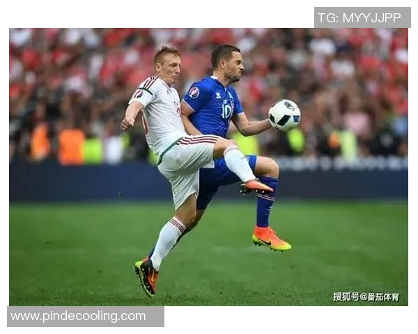 冰岛与匈牙利激战成平局双方各取一分展现实力 冰岛与匈牙利激战成平局双方各取一分展现实力