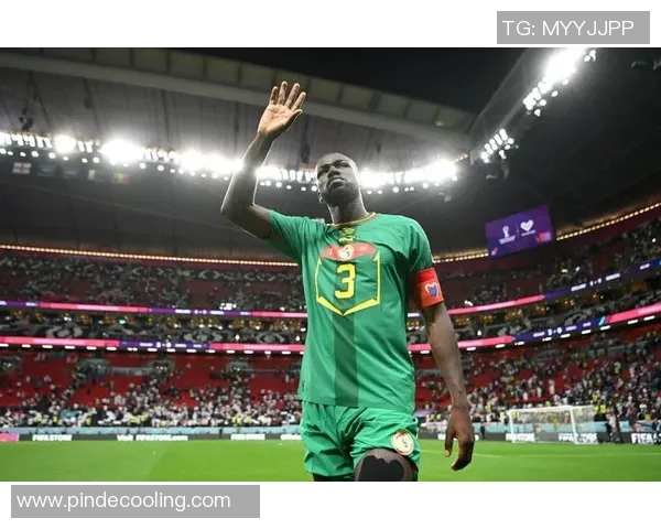 塞内加尔VS贝尔直播 塞内加尔VS贝尔直播