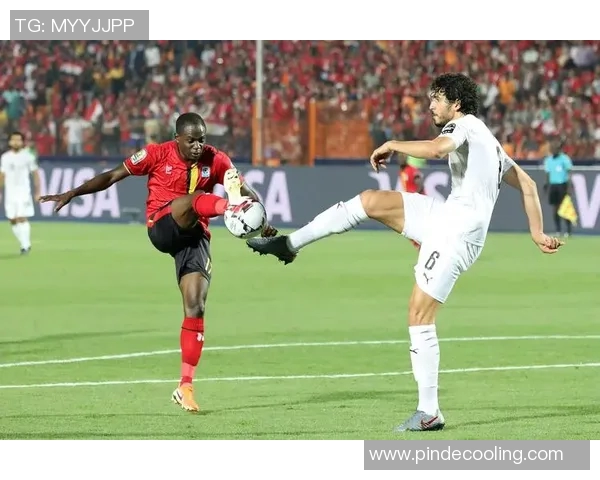 尼日尔足球队迎战埃及队期待精彩对决与历史交锋的精彩瞬间