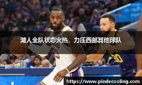 DB旗舰官网