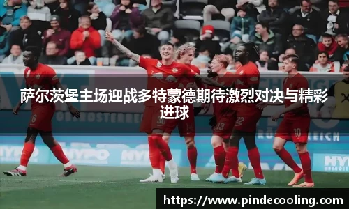 DB旗舰官网